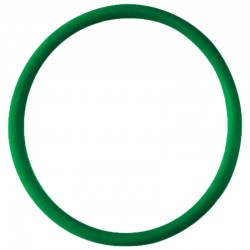 VITON GREEN® OR 50,80X3,53MM OR155 - CIMBALI HEAT EXCHANGER OR