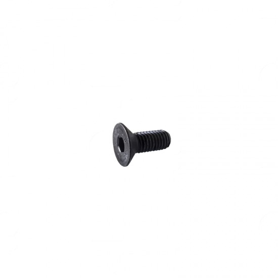 SCREW 8X20