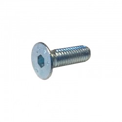Screw - TSPE 5x16 DIN7991 - zinc