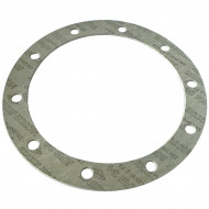 EN GASKET 220X170X1MM, 10 HOLES -BOILER GAGGIA