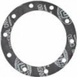 Pot gaskets  	GAGGIA BOILER 10 HOLES EN GASKET