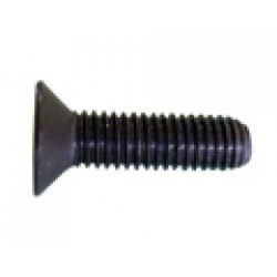 surub pentru fixare grup cu levier  TSPEI 6x22  UNI 5933 FAEMA ASTORIA BRASILIA