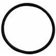Group spare parts OR 47,29 x 2,62 mm EP851 - RING GROUP GASKET