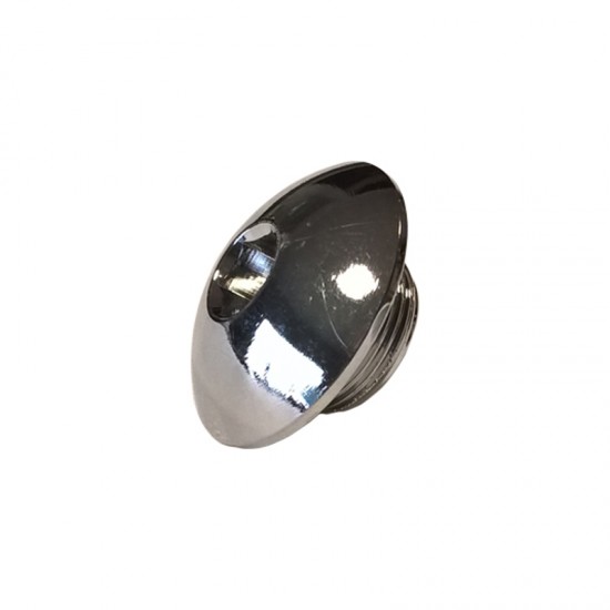 INSPECTION GIGLEUR GROUP PLUG