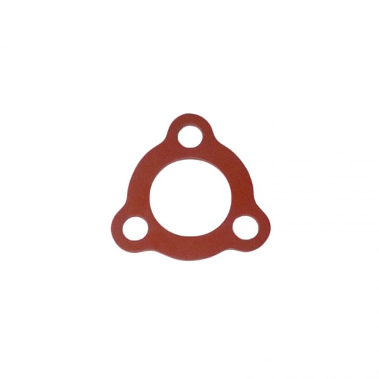 GASKET BOILER HEATING ELEMENT KIARA -N. SIMONELLI