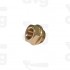 GOLDEN MANOMETER FITTING 1/8F