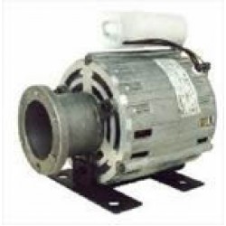Motoare rpm RPM SCREW MOTOR 230V/165W W/JUNCTION BOX