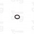 OR 7,65X1,78 EPDM OR107-OR2031