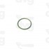 OR 15,6x1,78 VITON® OR2062 -SANREMO