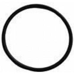 BRASILIA GROUP OR GASKET