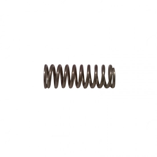 VALVE ROD SPRING