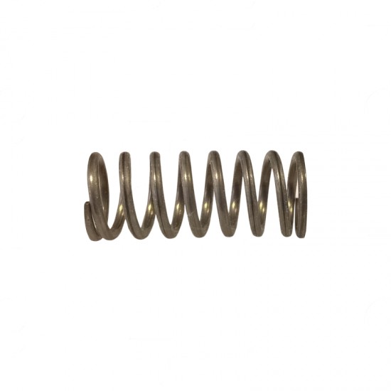 CONTI STANDARD STEAM/WATER VALVE SPRING