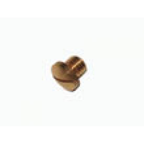 STEAM/WATER VALVE CLOSING SCREW