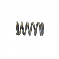 STEAM/WATER WAND SPRING GAGGIA