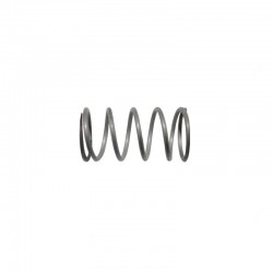 VALVE SPRING