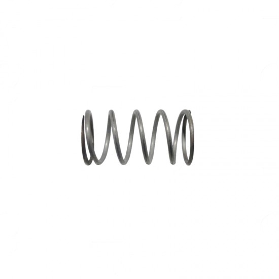 VALVE SPRING