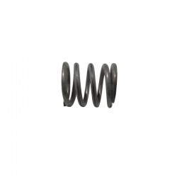 SPAZIALE STEAM PIPE SPRING