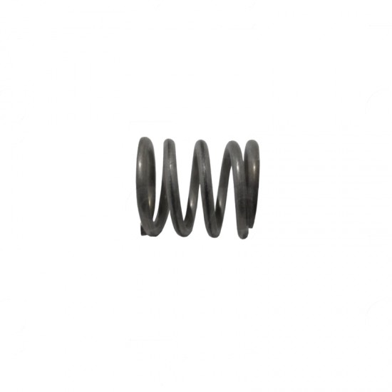 SPAZIALE STEAM PIPE SPRING
