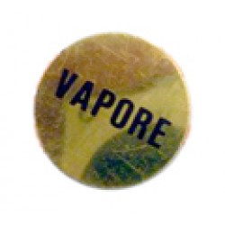DISC screenprinted STEAM