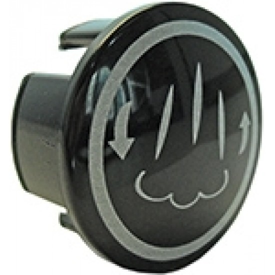 STEAM HANDLE CAP