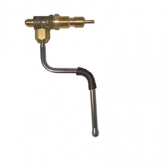 STEAM VALVE COMPLETE WITH S. STEEL STEAM TUBE