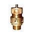Valva siguranta boiler aparat cafea profesional - universal