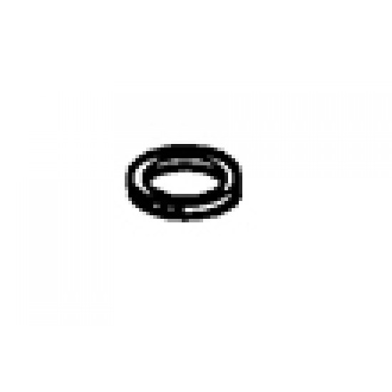 ARISTARCO HEATING O-RING