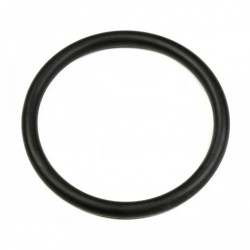 Garnitura grup oring  47,22X3,53 mm  expresor ELEKTRA, WEGA, ASTORIA old style 